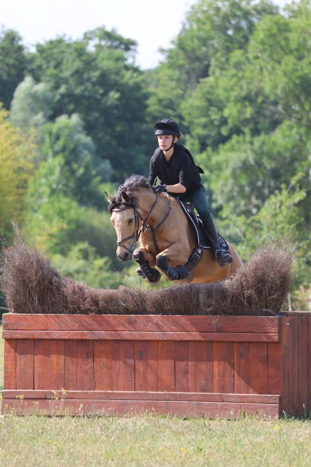 Poney D de CCE &agrave; Louer