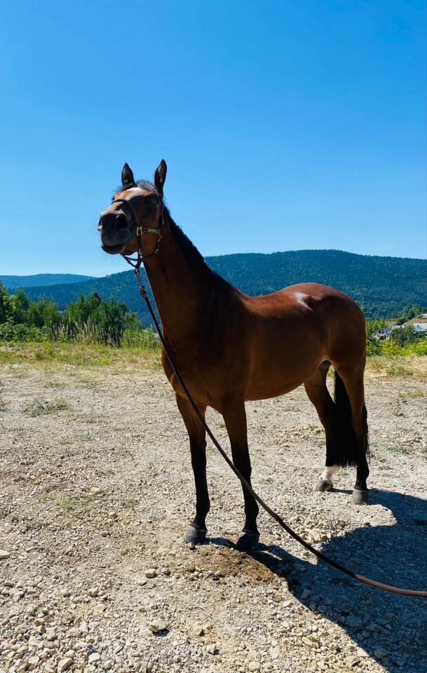 Poulini&egrave;re Diane de st Georges
