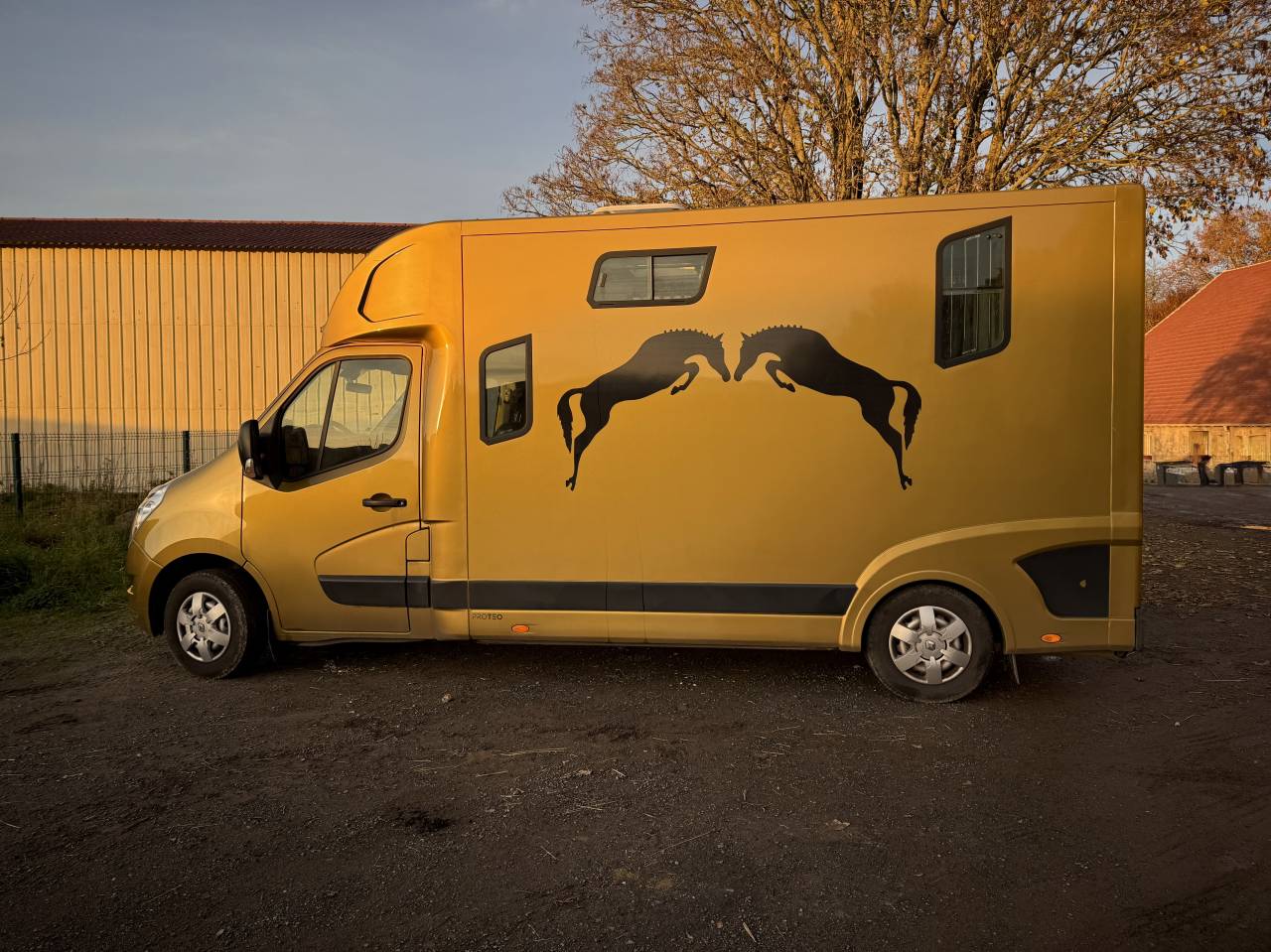 Camion Theault switch stalles 5 places 