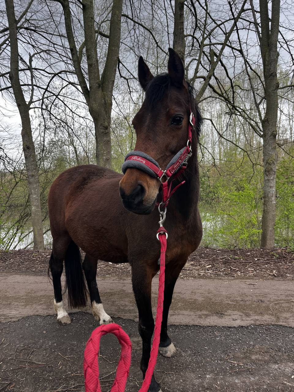 A vendre / &agrave; confier 