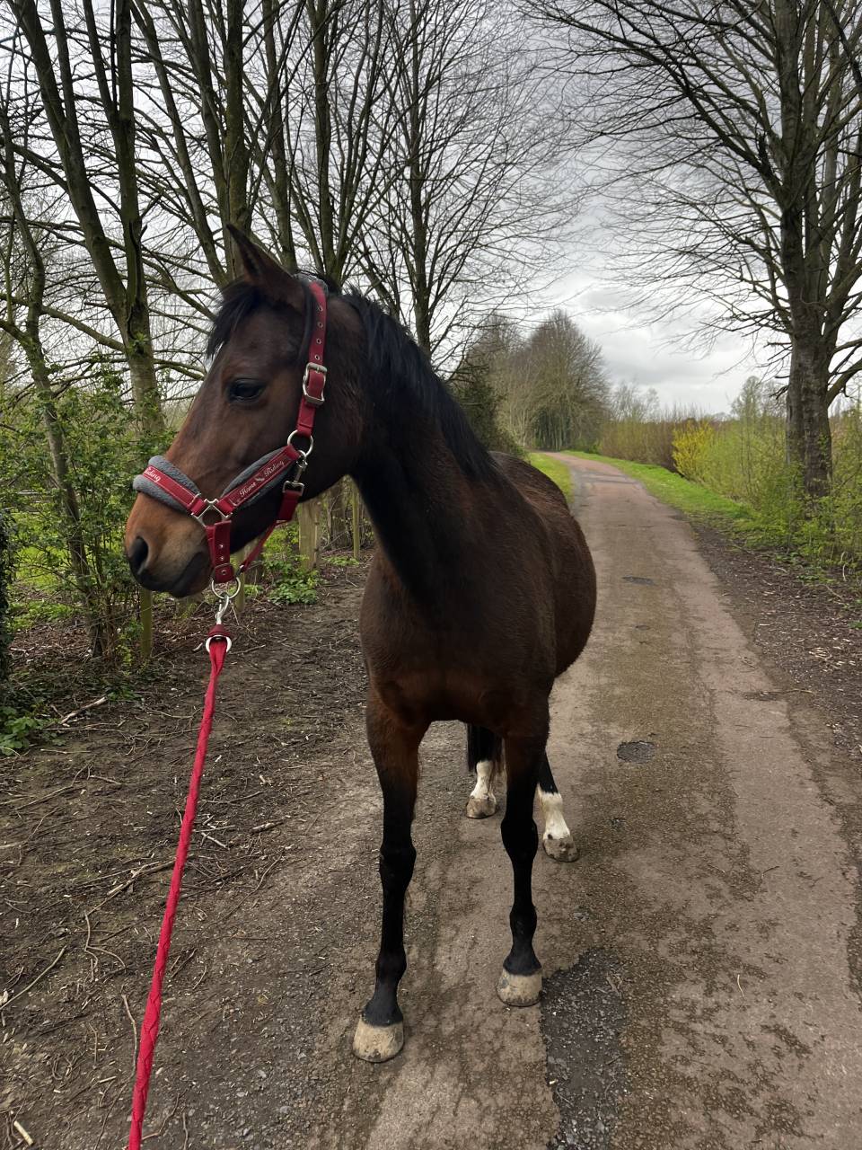 A vendre / &agrave; confier 