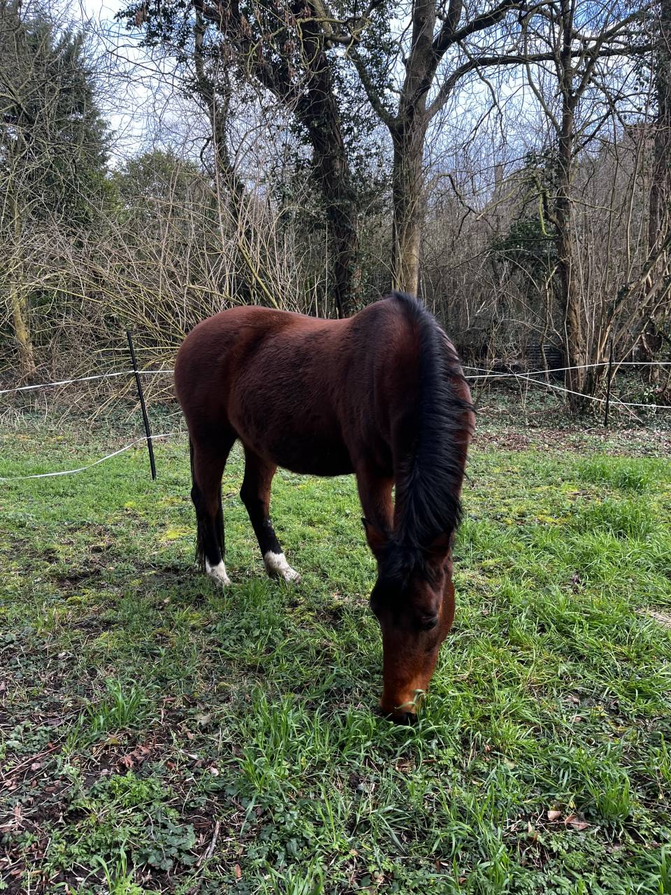 A vendre / &agrave; confier 