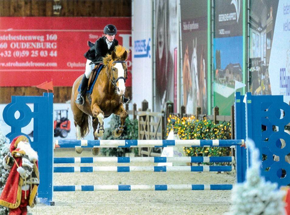 Jument 12 ans, gagante 110cm, pr&ecirc;te pour les 120 cm