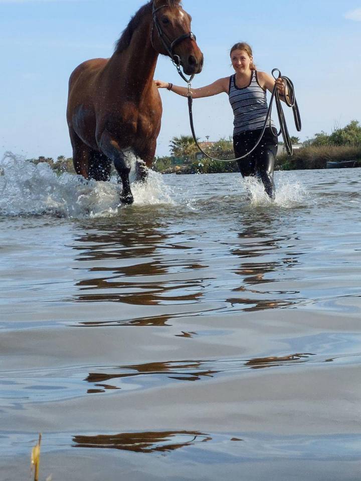 Volubilis cherche sa famille pour la vie 