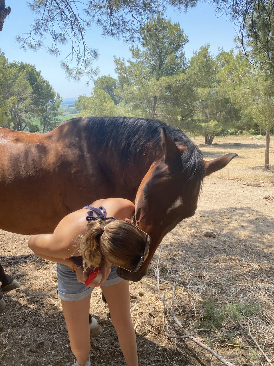 Volubilis cherche sa famille pour la vie 