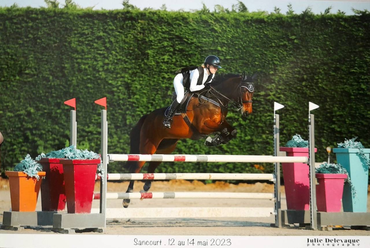 Demie pension cheval 