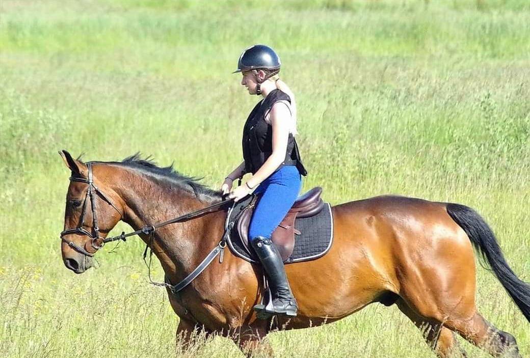 Demie pension cheval 