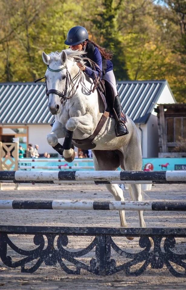 Jument de CSO &agrave; vendre / location option d&rsquo;achat 