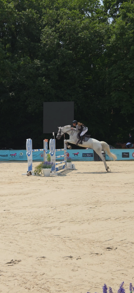 Jument de CSO &agrave; vendre / location option d&rsquo;achat 