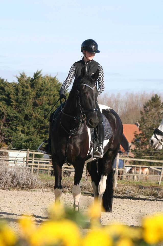 KAMPENHOUT:DEMI-PENSION / Halve pension