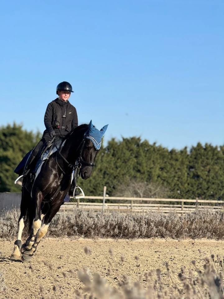 KAMPENHOUT:DEMI-PENSION / Halve pension