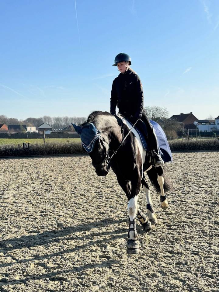 KAMPENHOUT:DEMI-PENSION / Halve pension