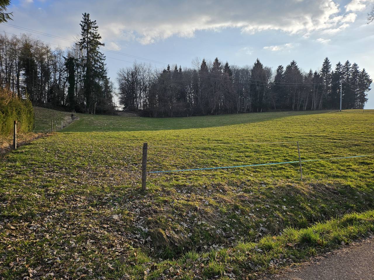Pension Pr&eacute; - La Chapelle Rambaud 74800