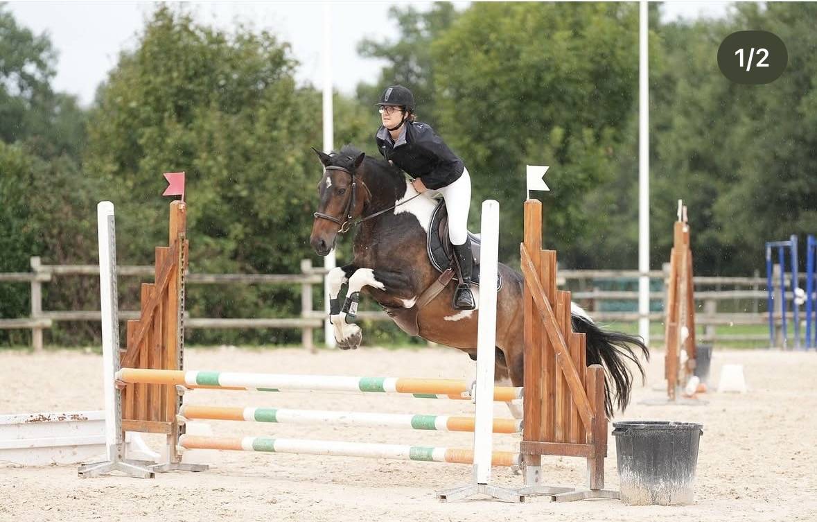 Hongre assurance vie