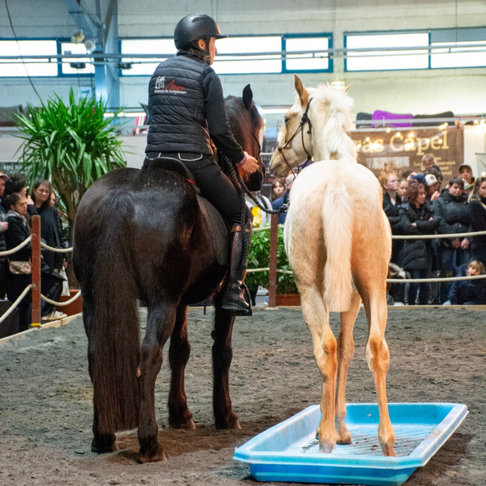 Emporio, un tr&egrave;s beau mental