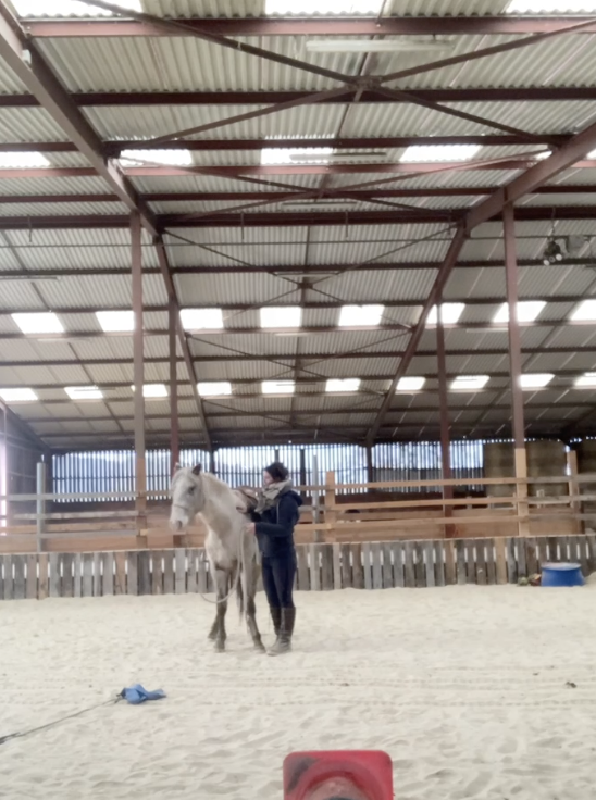 Stages &eacute;quitation &ndash; Haras Au C&oelig;ur des Possibles