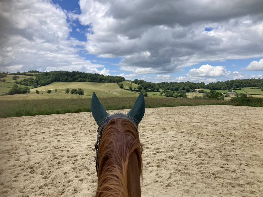 Haras Au C&oelig;ur des Possibles &ndash; Bourgogne (Luzy)
