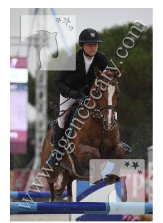 poney pfs As1 / As &eacute;lite