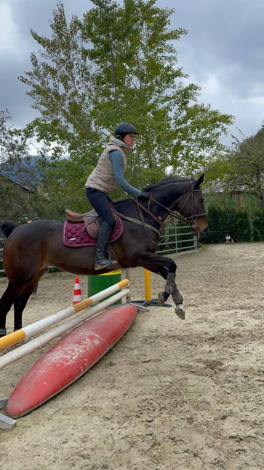 &Agrave; vendre - Jument 13 ans 1m63