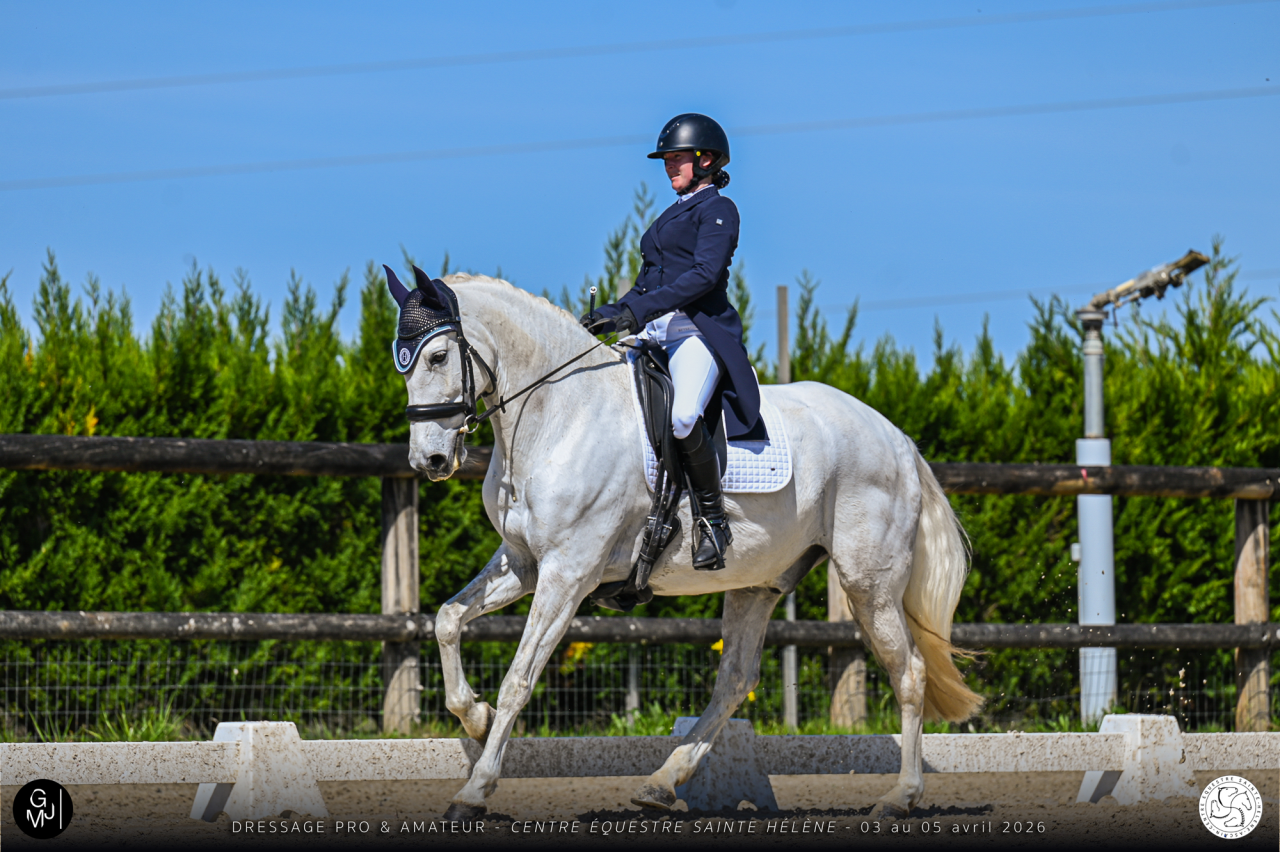A Vendre - cheval de Dressage AES
