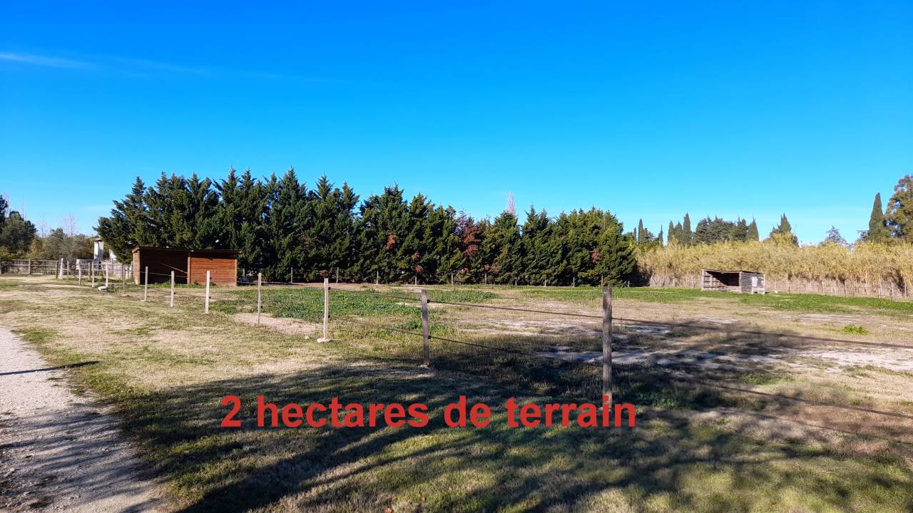 Mas camarguais pr&ecirc;t &agrave; accueillir vos chevaux