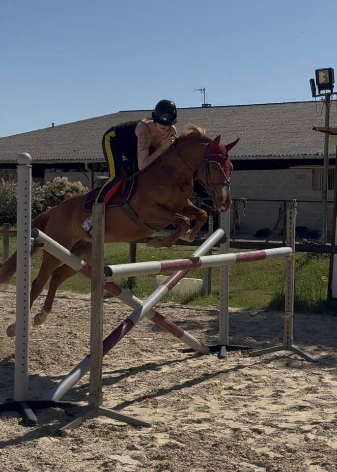 Poney D &agrave; louer 