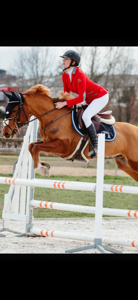 Poney D &agrave; louer 