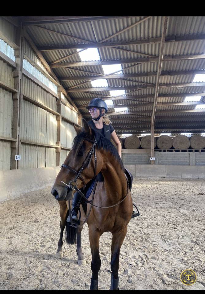 Trotteur a vendre de 6 ans