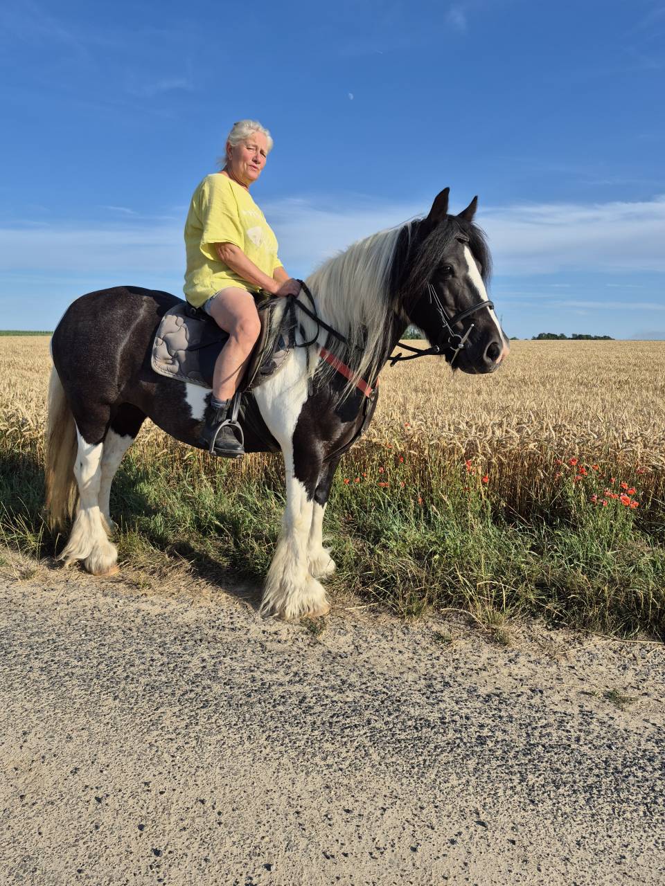 MAGNIFIQUE POULAIN D par frenchcornet d&rsquo;odival PFS par 