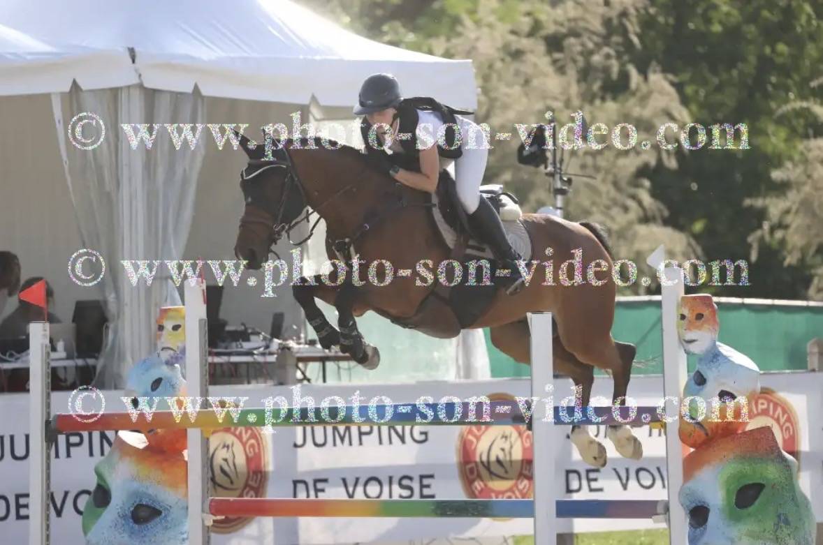 ? &Agrave; vendre &ndash; Hongre de 11 ans par Tornesh ?