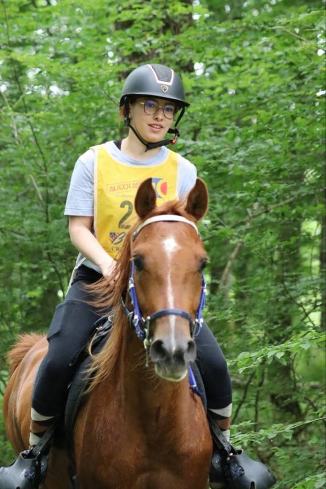 Hongre pur sang arabe de 6 ans 