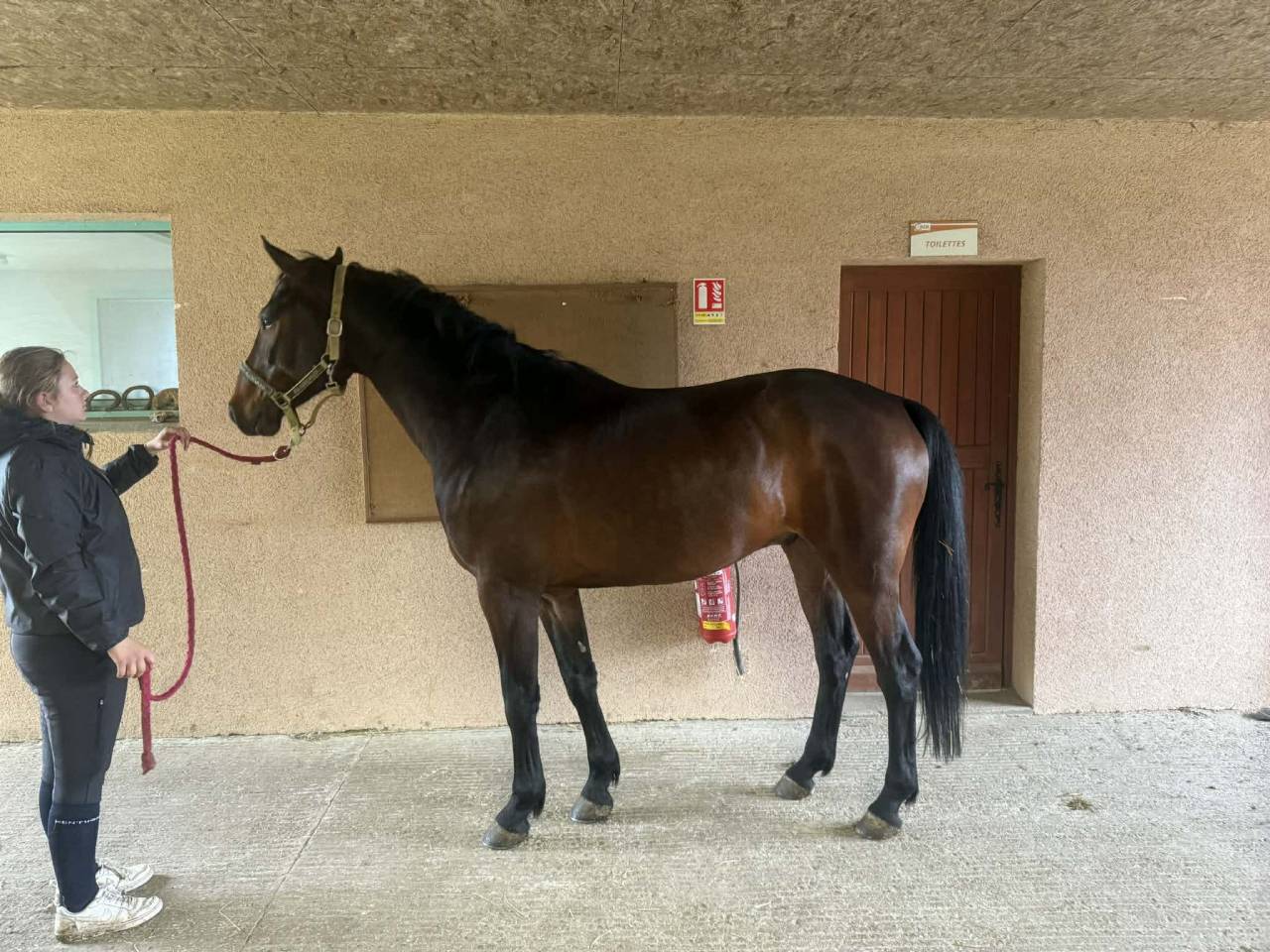 LARTIST des PEUPLIERS &mdash; 5 ans, pr&ecirc;t &agrave; performer 