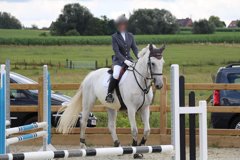 Magnifique jument Bwp