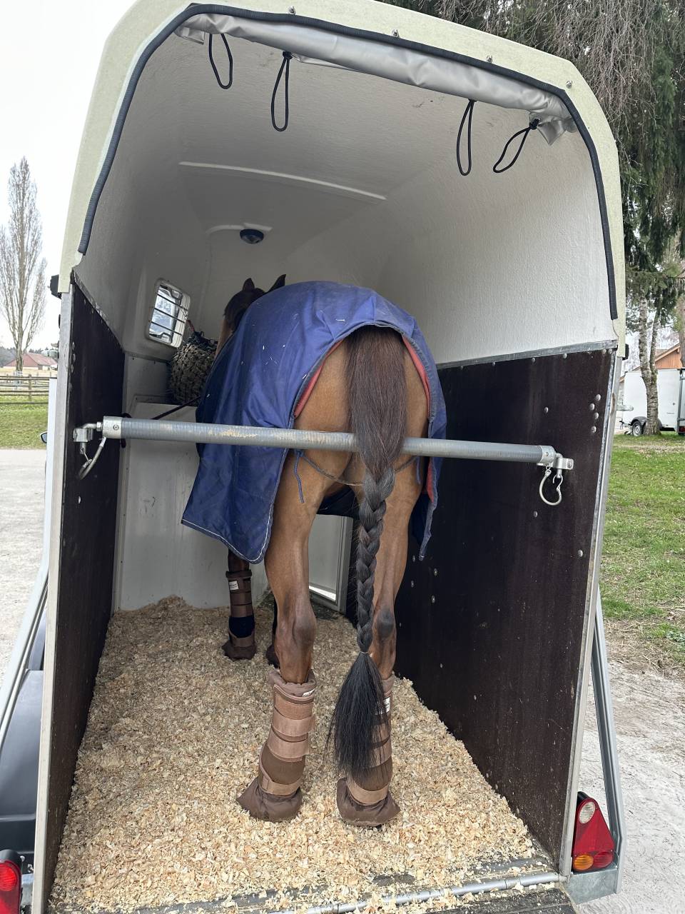 Van Blomert 1,5 place