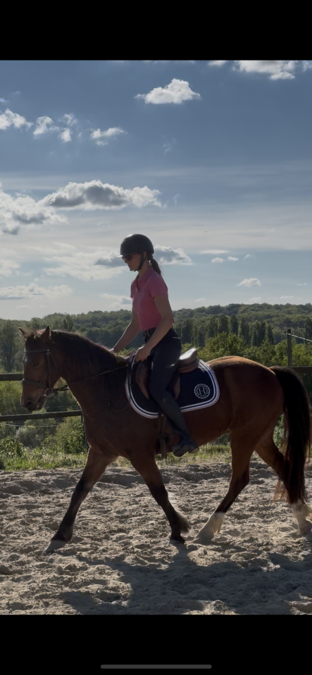 Poney fran&ccedil;ais de selle 8 ans 
