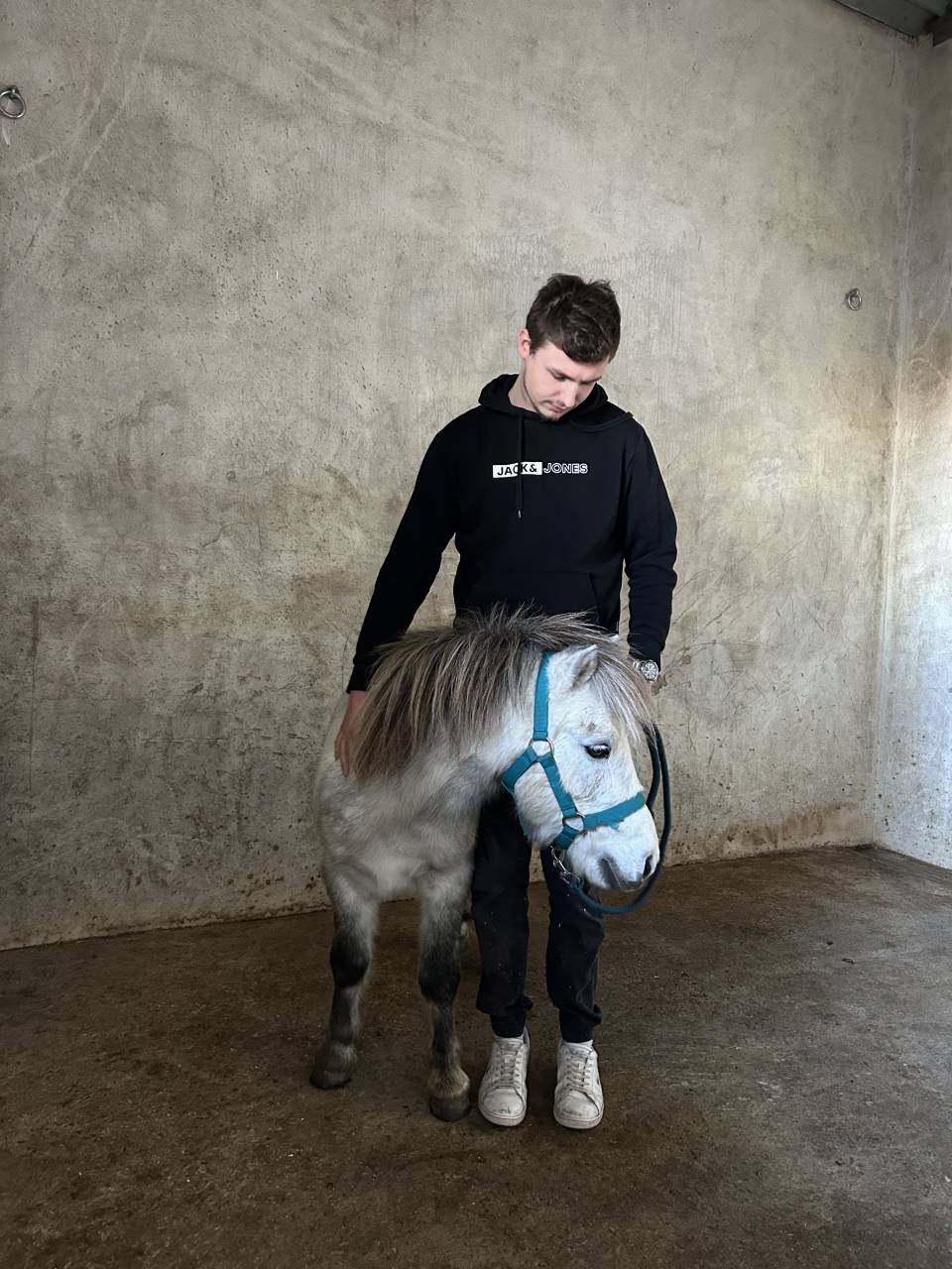 Saillie poney 