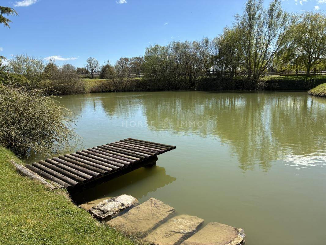 Propri&eacute;t&eacute; &eacute;questre cl&eacute; en main avec man&egrave;ge et carri&egrave;re -