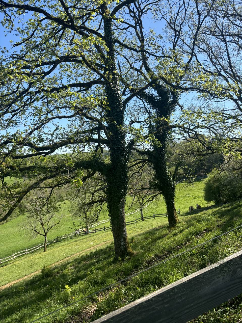 DOMAINE &Eacute;QUESTRE D&rsquo;EXCEPTION SUR 19 H