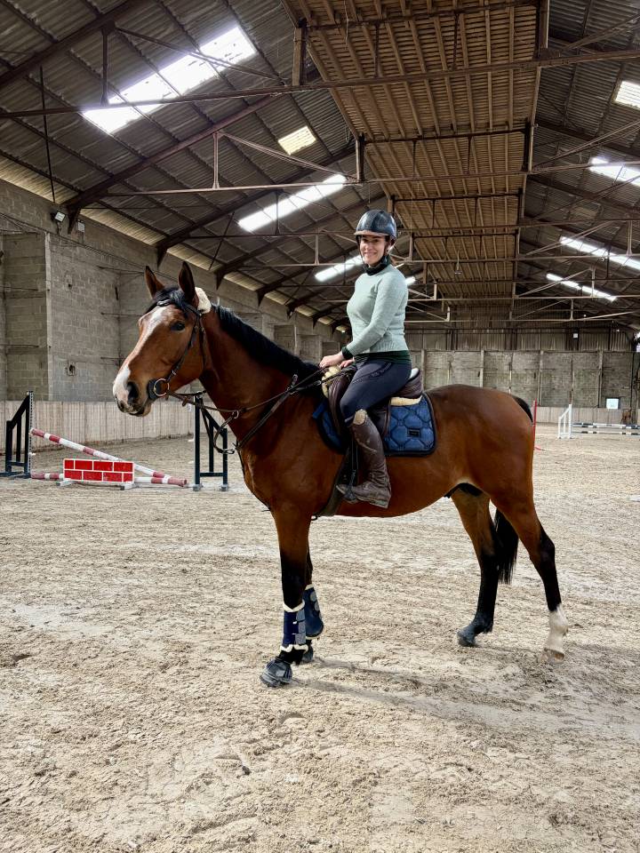 Selle fran&ccedil;ais originel 4 ans 