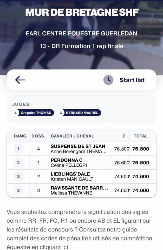Hongre - KWPN - 4 ans - Dressage - France 