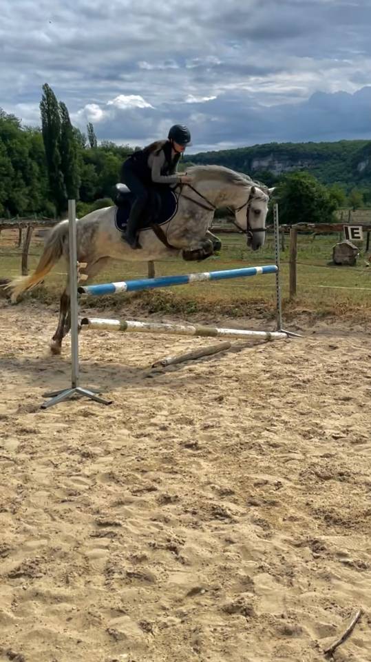 Jument prend 8ans pfs/connemara