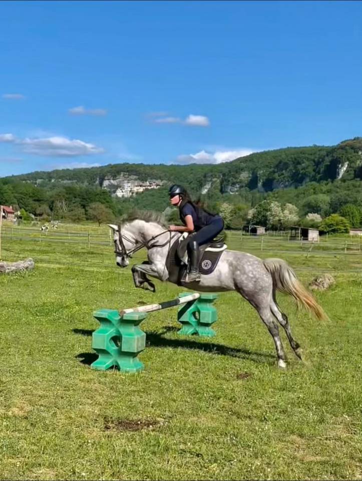 Jument prend 8ans pfs/connemara