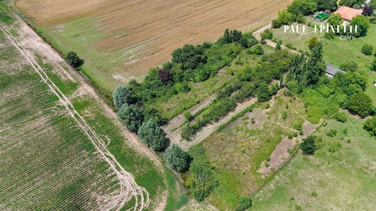 Maison 6 pi&egrave;ce avec terrain 1 hectare et hangar