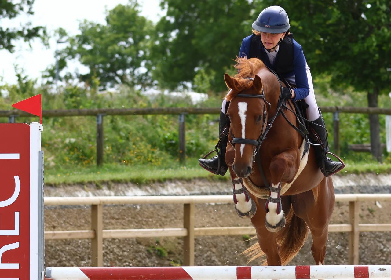 Jument 5 par Bush Vd Heffink 