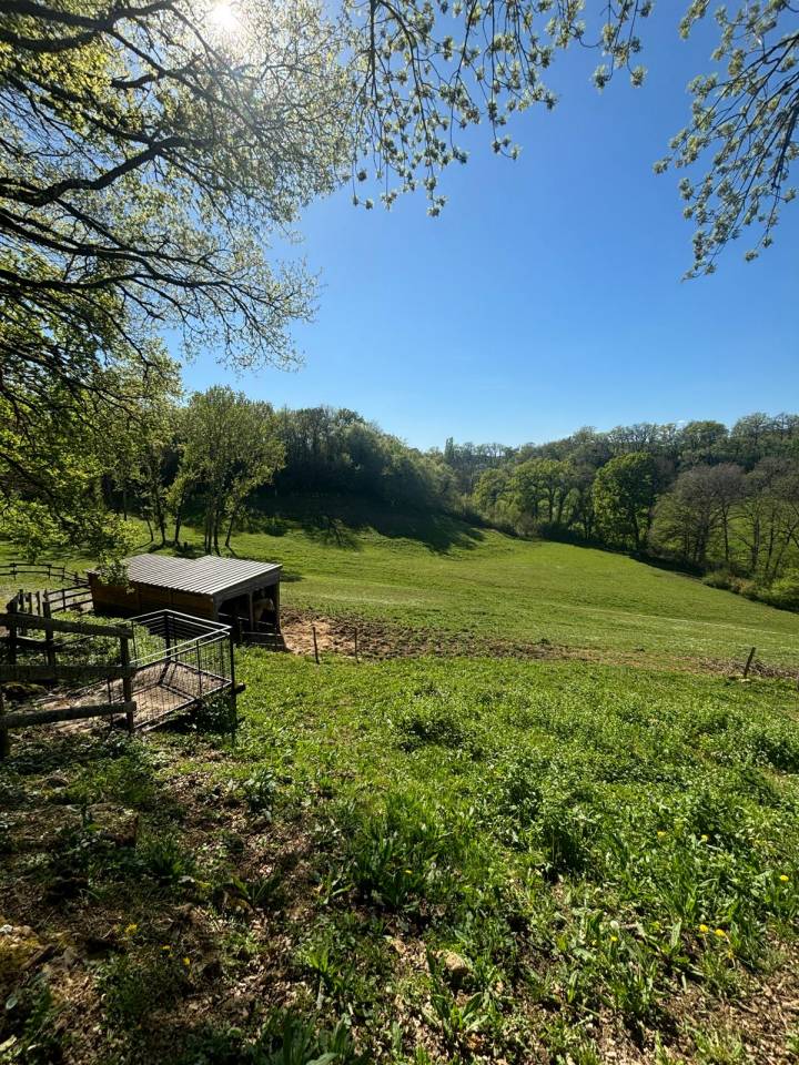 DOMAINE &Eacute;QUESTRE D&rsquo;EXCEPTION SUR 19 H