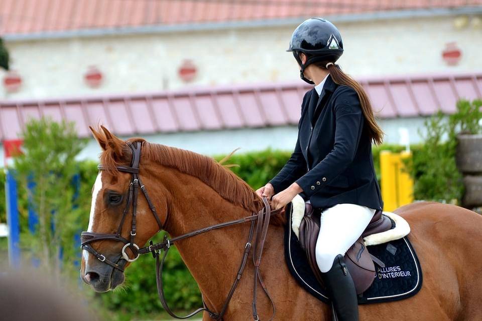 Selle fran&ccedil;ais 