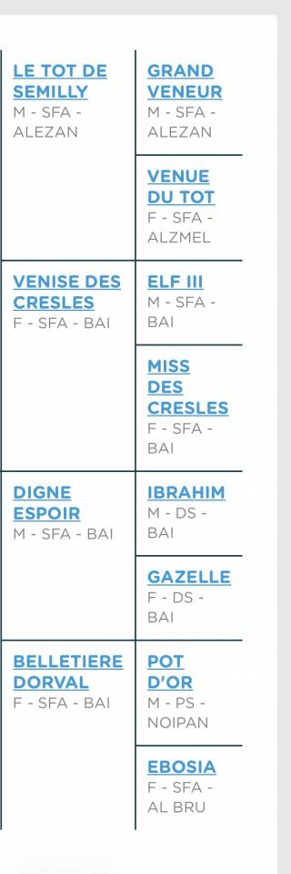 Selle fran&ccedil;ais 