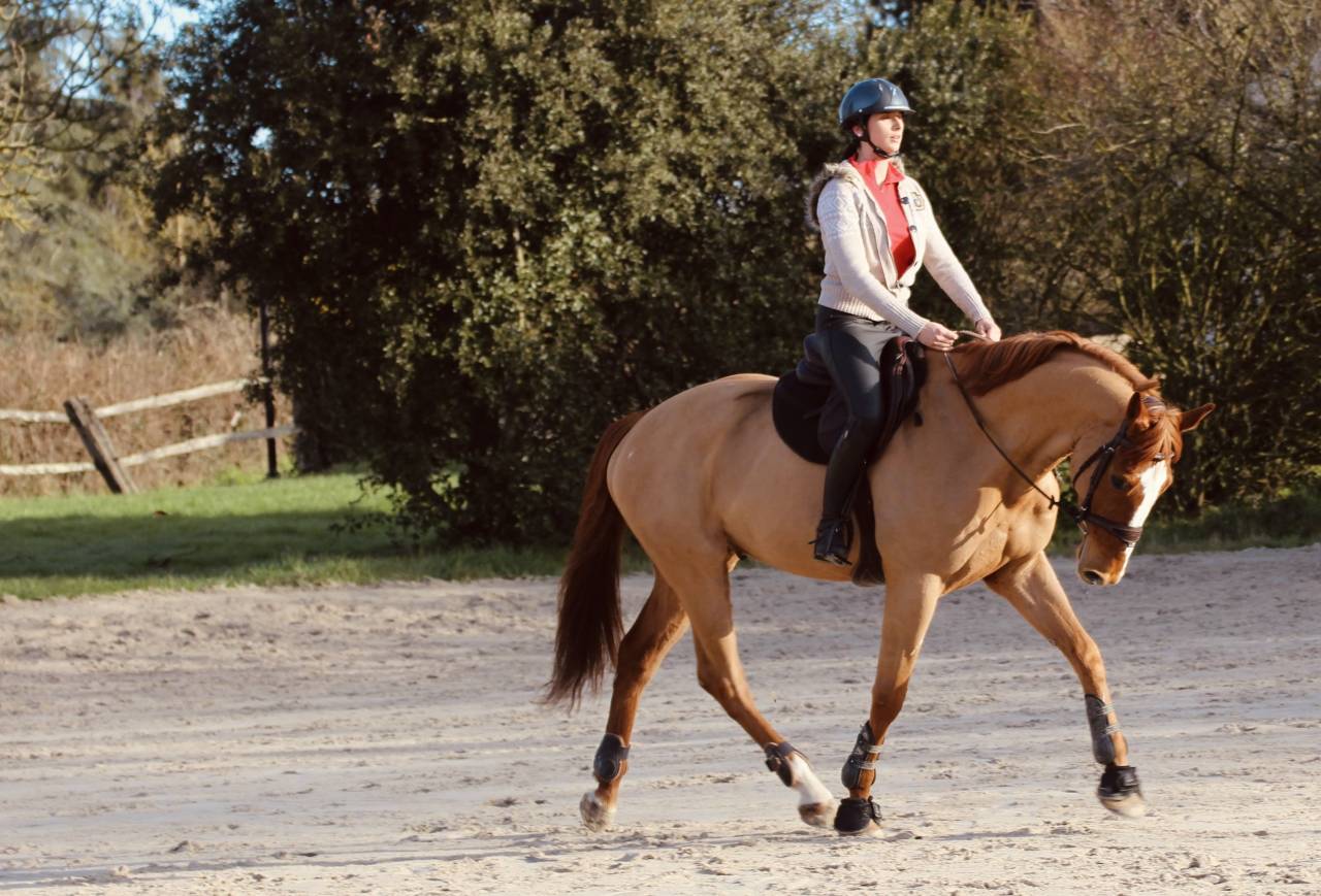 Selle fran&ccedil;ais 
