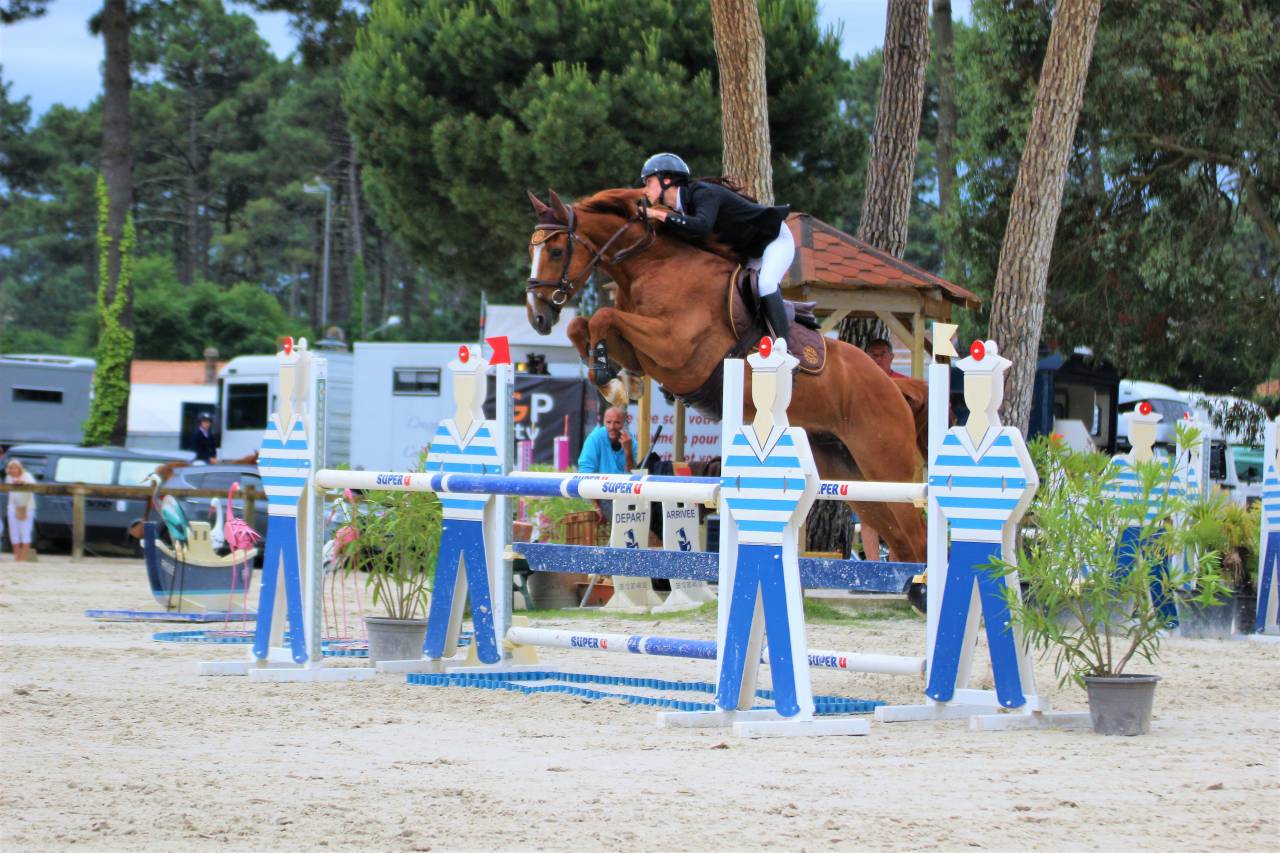Selle fran&ccedil;ais 