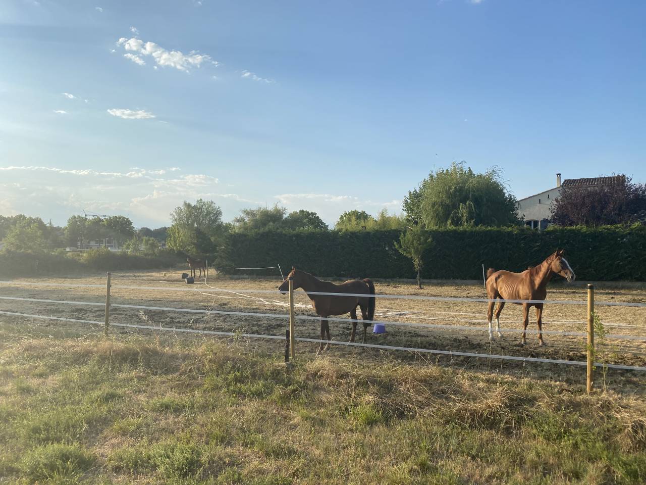 Proche UZES - confort et passion equestre
